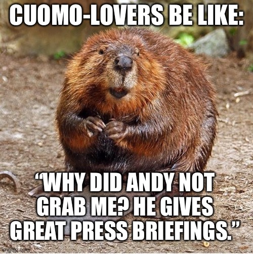 Andrew Cuomo could murder an old lady, and his progressive base would still support him. Fatal attraction. | CUOMO-LOVERS BE LIKE:; “WHY DID ANDY NOT GRAB ME? HE GIVES GREAT PRESS BRIEFINGS.” | image tagged in beaver,memes,andrew cuomo,sexual assault,liberal logic,covid | made w/ Imgflip meme maker