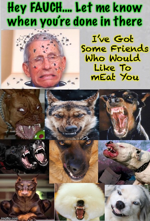 And THIS is better than what you’ll get, in Eternity | Hey FAUCH…. Let me know
when you’re done in there; I’ve Got 
Some Friends
Who Would 
Like To 
mEat You | image tagged in memes,fauci,puppy puppies,sick demented evil pure evil,typical dem politician,harris running mate 2024 | made w/ Imgflip meme maker