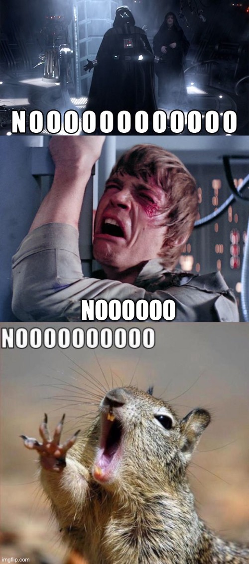 NOOOOOO | image tagged in darth vader noooo,luke nooooo,noooooooooooooooooooooooo | made w/ Imgflip meme maker