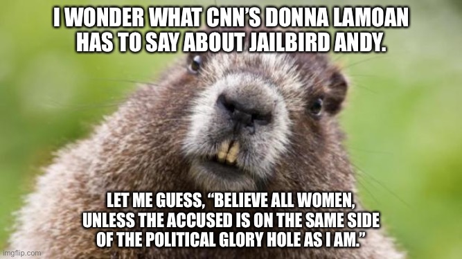 Jailbird Andy and Donna Lamoan | I WONDER WHAT CNN’S DONNA LAMOAN
HAS TO SAY ABOUT JAILBIRD ANDY. LET ME GUESS, “BELIEVE ALL WOMEN, UNLESS THE ACCUSED IS ON THE SAME SIDE
OF THE POLITICAL GLORY HOLE AS I AM.” | image tagged in mr beaver,memes,andrew cuomo,sexual assault,metoo,don lemon | made w/ Imgflip meme maker