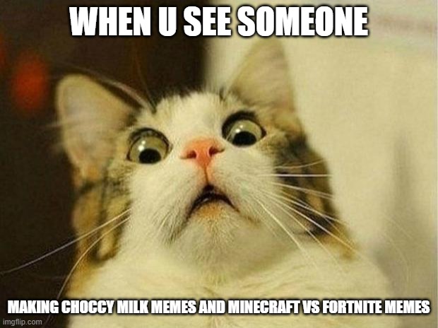 Scared Cat Meme | WHEN U SEE SOMEONE; MAKING CHOCCY MILK MEMES AND MINECRAFT VS FORTNITE MEMES | image tagged in memes,scared cat | made w/ Imgflip meme maker