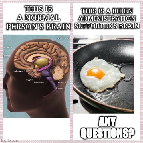 Fried brain | THIS IS A BIDEN ADMINISTRATION SUPPORTER'S BRAIN; THIS IS A NORMAL PERSON'S BRAIN; ANY QUESTIONS? | image tagged in joe biden,socialist | made w/ Imgflip meme maker