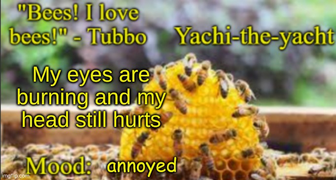 Yachi's bees temp | My eyes are burning and my head still hurts; annoyed | image tagged in yachi's bees temp | made w/ Imgflip meme maker