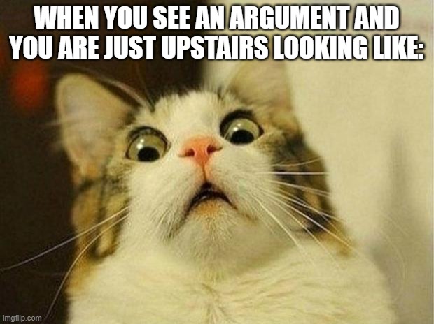 Scared Cat Meme | WHEN YOU SEE AN ARGUMENT AND YOU ARE JUST UPSTAIRS LOOKING LIKE: | image tagged in memes,scared cat | made w/ Imgflip meme maker