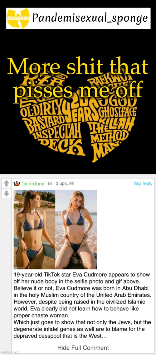 It’s a bikini. So what? | More shit that pisses me off | image tagged in wu tang announcement template | made w/ Imgflip meme maker