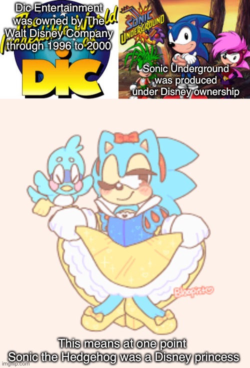 Sonic was a Disney Princess | Dic Entertainment was owned by The Walt Disney Company through 1996 to 2000; Sonic Underground was produced under Disney ownership; This means at one point 
Sonic the Hedgehog was a Disney princess | image tagged in sonic the hedgehog,disney,sonic,disney princess | made w/ Imgflip meme maker