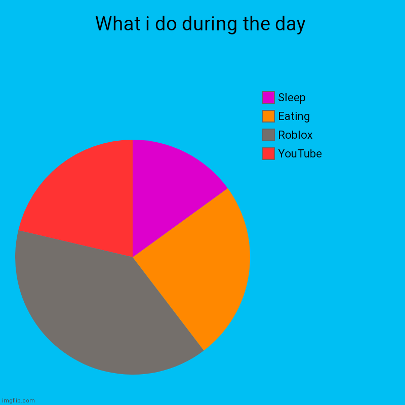 What I Do During The Day (Get on Home Page so people know how lazy I am) | What i do during the day | YouTube , Roblox, Eating, Sleep | image tagged in charts,pie charts | made w/ Imgflip chart maker