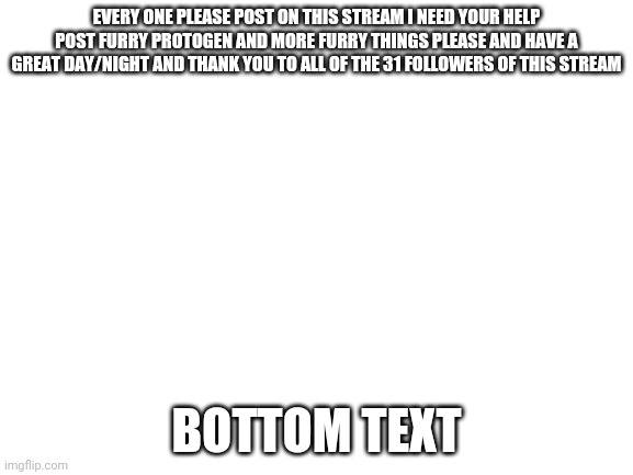 Please help | EVERY ONE PLEASE POST ON THIS STREAM I NEED YOUR HELP POST FURRY PROTOGEN AND MORE FURRY THINGS PLEASE AND HAVE A GREAT DAY/NIGHT AND THANK YOU TO ALL OF THE 31 FOLLOWERS OF THIS STREAM; BOTTOM TEXT | image tagged in blank white template,furry,furries | made w/ Imgflip meme maker