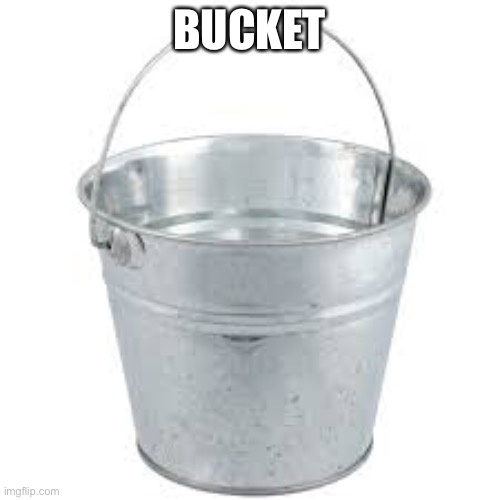 Bucket | BUCKET | image tagged in bucket | made w/ Imgflip meme maker