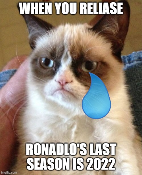 grumpy cat sad | WHEN YOU RELIASE; RONADLO'S LAST SEASON IS 2022 | image tagged in memes,grumpy cat | made w/ Imgflip meme maker