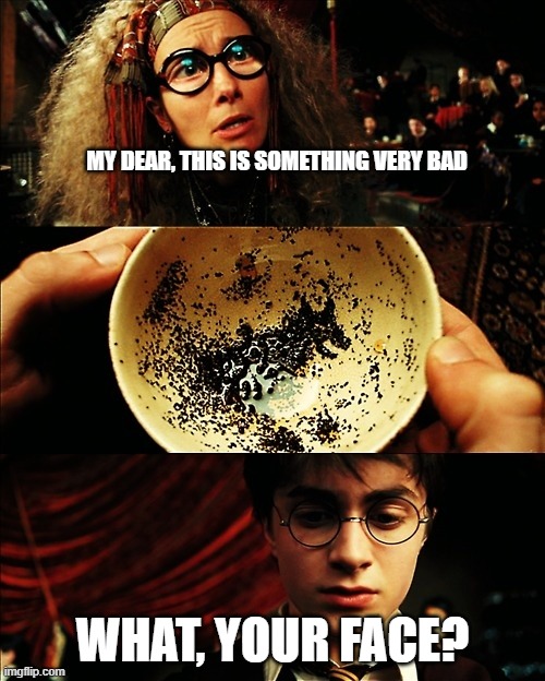 harry potter | MY DEAR, THIS IS SOMETHING VERY BAD; WHAT, YOUR FACE? | image tagged in harry potter | made w/ Imgflip meme maker