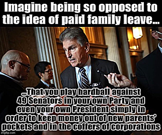 Virtually every country on earth has figured out how to pay parents to spend some time with their newborns. Wow, Manchin, wow. | image tagged in joe manchin,senators,senator | made w/ Imgflip meme maker