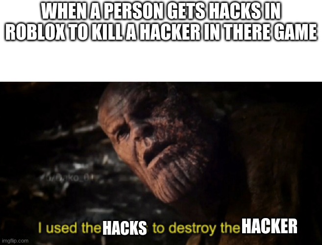 I used the stones to destroy the stones | WHEN A PERSON GETS HACKS IN ROBLOX TO KILL A HACKER IN THERE GAME; HACKER; HACKS | image tagged in i used the stones to destroy the stones | made w/ Imgflip meme maker
