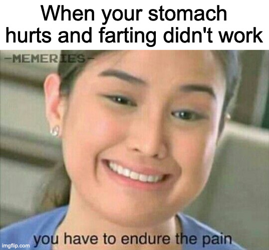 help | When your stomach hurts and farting didn't work | image tagged in you have to endure the pain | made w/ Imgflip meme maker
