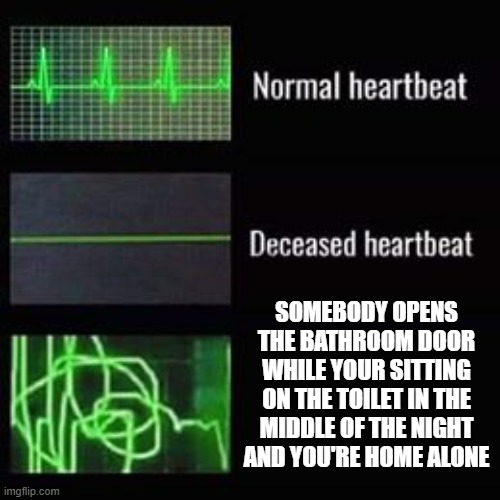 WHY ARE THE THE MEME TITLES TAKEN?!?!?!?! | SOMEBODY OPENS THE BATHROOM DOOR WHILE YOUR SITTING ON THE TOILET IN THE MIDDLE OF THE NIGHT AND YOU'RE HOME ALONE | image tagged in heartbeat rate,memes,lol,oh wow are you actually reading these tags | made w/ Imgflip meme maker