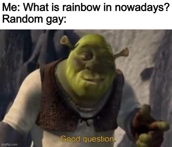Shrek good question | Me: What is rainbow in nowadays?
Random gay: | image tagged in shrek good question | made w/ Imgflip meme maker