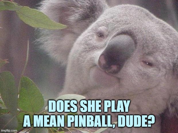 Dank Koala | DOES SHE PLAY A MEAN PINBALL, DUDE? | image tagged in dank koala | made w/ Imgflip meme maker