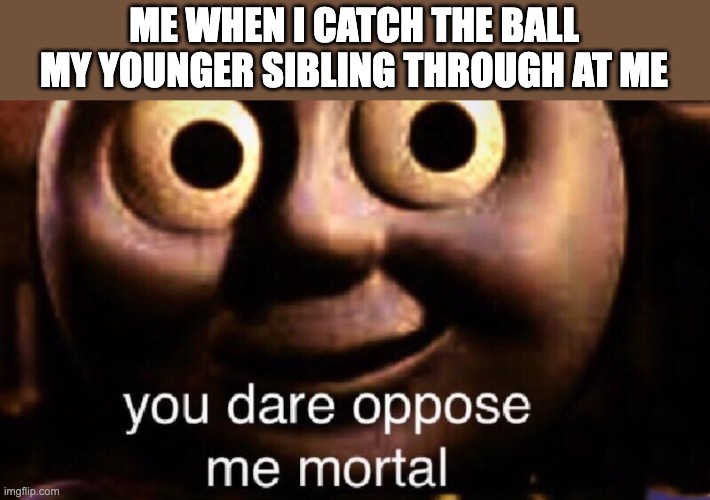 You dare oppose me mortal | ME WHEN I CATCH THE BALL MY YOUNGER SIBLING THROUGH AT ME | image tagged in you dare oppose me mortal | made w/ Imgflip meme maker
