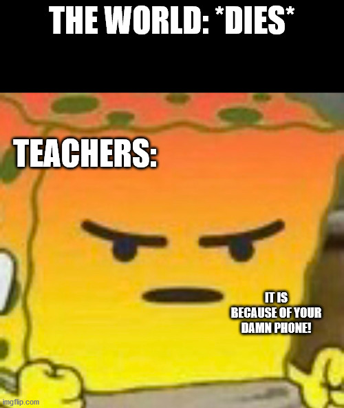 e | THE WORLD: *DIES*; TEACHERS:; IT IS BECAUSE OF YOUR DAMN PHONE! | image tagged in mad spongebob | made w/ Imgflip meme maker