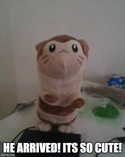 link if you wanna get one https://www.aliexpress.com/item/32929230395.html | HE ARRIVED! ITS SO CUTE! | image tagged in furret plush | made w/ Imgflip meme maker
