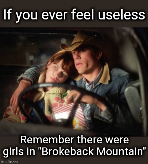 Hang in there! | If you ever feel useless; Remember there were girls in "Brokeback Mountain" | image tagged in memes,brokeback mountain,girls,useless | made w/ Imgflip meme maker