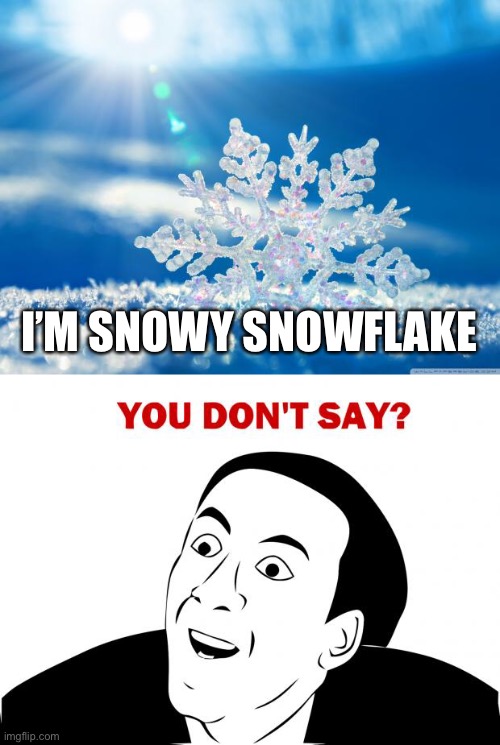 I’M SNOWY SNOWFLAKE | image tagged in snowflake,memes,you don't say | made w/ Imgflip meme maker