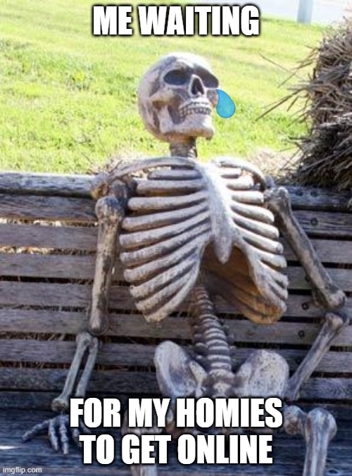 but srsly tho. get ur ass online. | ME WAITING; FOR MY HOMIES TO GET ONLINE | image tagged in memes,waiting skeleton | made w/ Imgflip meme maker