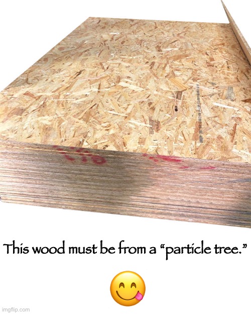 ? This wood must be from a “particle tree.” | made w/ Imgflip meme maker