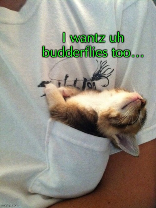 I wantz uh budderflies too… | made w/ Imgflip meme maker