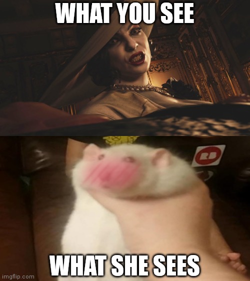 WHAT YOU SEE; WHAT SHE SEES | image tagged in lady dimitrescu resident evil village | made w/ Imgflip meme maker