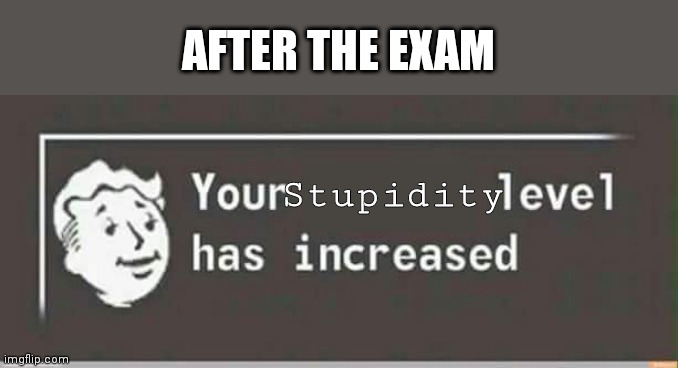 Your level has increased | AFTER THE EXAM; Stupidity | image tagged in your level has increased | made w/ Imgflip meme maker