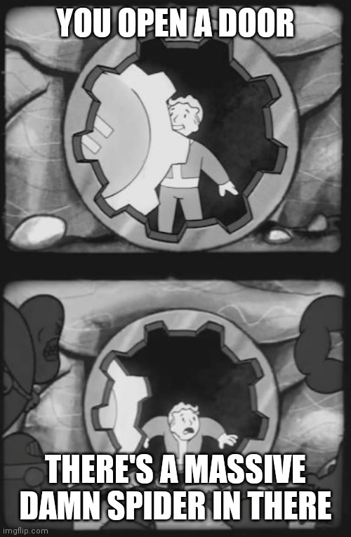 Fallout Scary | YOU OPEN A DOOR; THERE'S A MASSIVE DAMN SPIDER IN THERE | image tagged in fallout scary | made w/ Imgflip meme maker