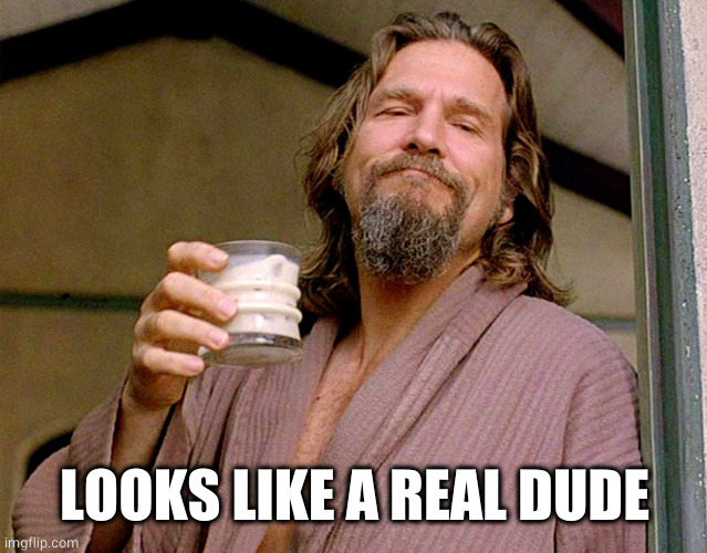 The Dude | LOOKS LIKE A REAL DUDE | image tagged in the dude | made w/ Imgflip meme maker