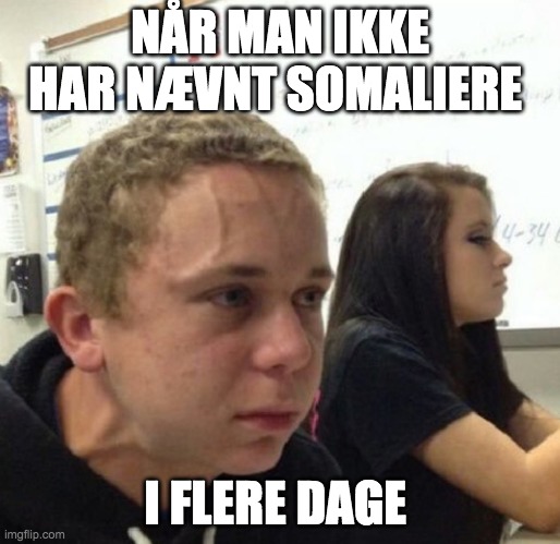 Vein popping kid | NÅR MAN IKKE HAR NÆVNT SOMALIERE; I FLERE DAGE | image tagged in vein popping kid | made w/ Imgflip meme maker