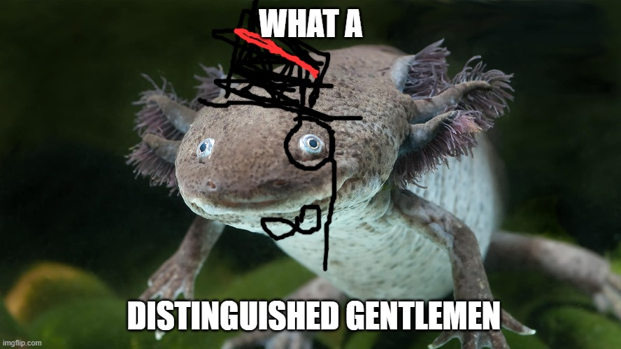 axolotl gentleman meme Blank Meme Template