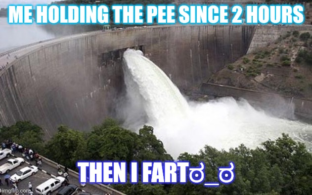 Everytime!!!ಠ﹏ಠ | ME HOLDING THE PEE SINCE 2 HOURS; THEN I FARTಠ_ಠ | image tagged in floodgate,fart | made w/ Imgflip meme maker