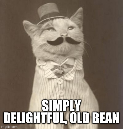 Moustache cat posh | SIMPLY DELIGHTFUL, OLD BEAN | image tagged in moustache cat posh | made w/ Imgflip meme maker