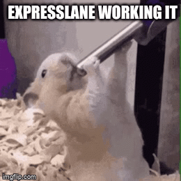 5s94gn.gif