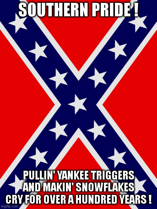 Like a cross to a vamp, or a can of Raid to a swarm of blowflies! | SOUTHERN PRIDE ! PULLIN' YANKEE TRIGGERS AND MAKIN' SNOWFLAKES CRY FOR OVER A HUNDRED YEARS ! | image tagged in stainless banner,leftist-repellent | made w/ Imgflip meme maker