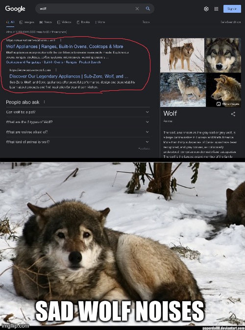Dogs come from wolves so this is a dog meme |  SAD WOLF NOISES | image tagged in sad wolf | made w/ Imgflip meme maker