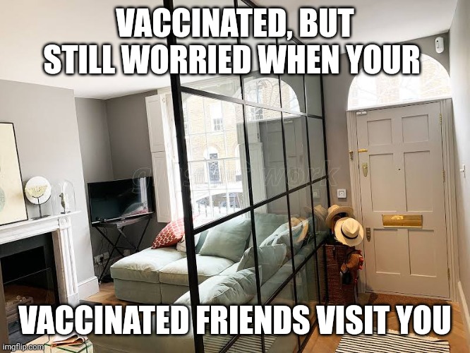 Vaccinated | VACCINATED, BUT STILL WORRIED WHEN YOUR; VACCINATED FRIENDS VISIT YOU | image tagged in antivax,vaccinations,covid19 | made w/ Imgflip meme maker