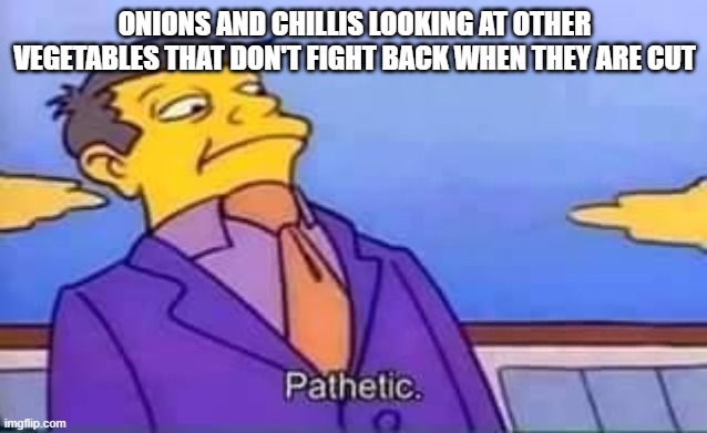 Meme | ONIONS AND CHILLIS LOOKING AT OTHER VEGETABLES THAT DON'T FIGHT BACK WHEN THEY ARE CUT | image tagged in skinner pathetic | made w/ Imgflip meme maker