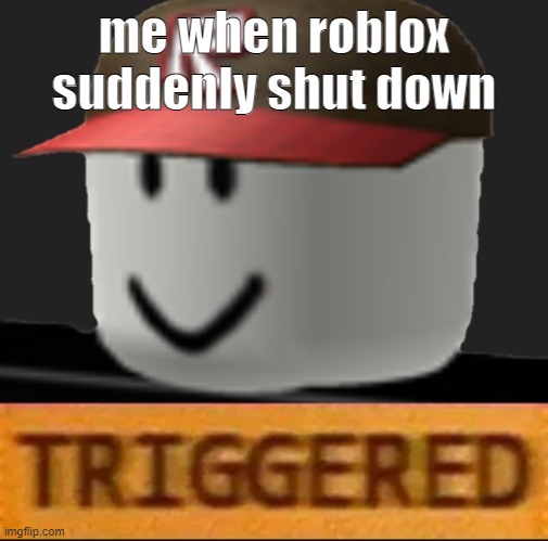 all because of a free burrito coupon |  me when roblox suddenly shut down | image tagged in roblox triggered,robloxdown,yes,memes | made w/ Imgflip meme maker
