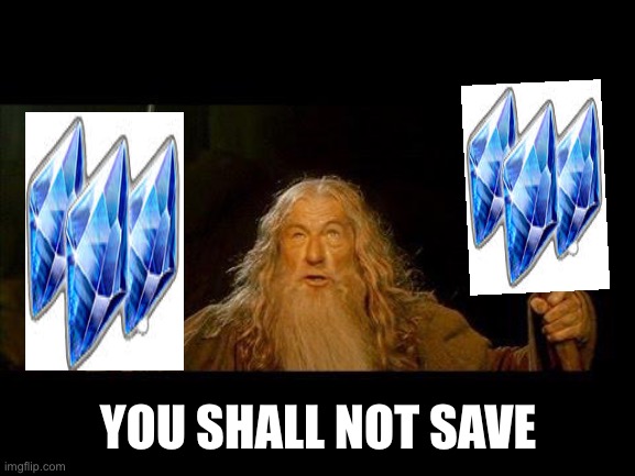 You shall not pass | YOU SHALL NOT SAVE | image tagged in you shall not pass | made w/ Imgflip meme maker