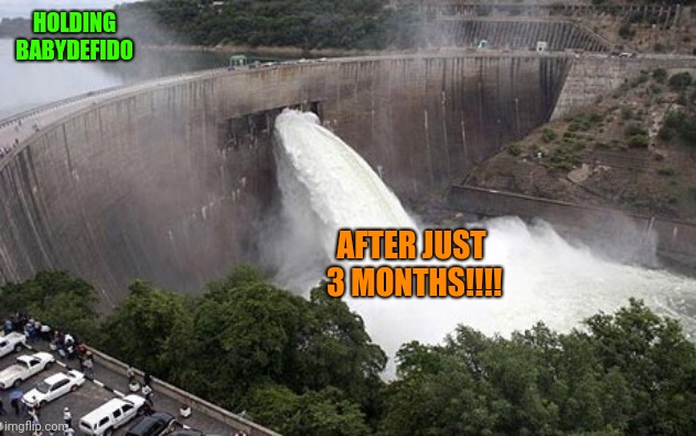 Floodgate | HOLDING BABYDEFIDO; AFTER JUST
 3 MONTHS!!!! | image tagged in floodgate | made w/ Imgflip meme maker