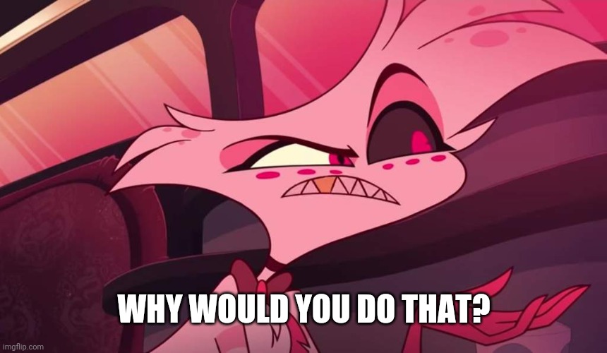 Hazbin hotel Angel dust | WHY WOULD YOU DO THAT? | image tagged in hazbin hotel angel dust | made w/ Imgflip meme maker