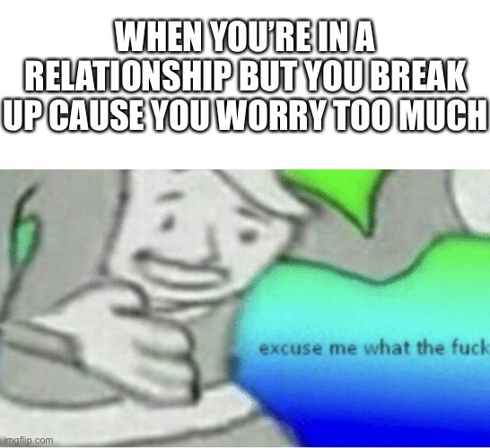 True story. I hated it | WHEN YOU’RE IN A RELATIONSHIP BUT YOU BREAK UP CAUSE YOU WORRY TOO MUCH | image tagged in excuse me wtf blank template | made w/ Imgflip meme maker