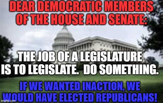 America wants, and needs, to "Build Back Better." | DEAR DEMOCRATIC MEMBERS OF THE HOUSE AND SENATE:; THE JOB OF A LEGISLATURE IS TO LEGISLATE.  DO SOMETHING. IF WE WANTED INACTION, WE WOULD HAVE ELECTED REPUBLICANS! | image tagged in politics | made w/ Imgflip meme maker