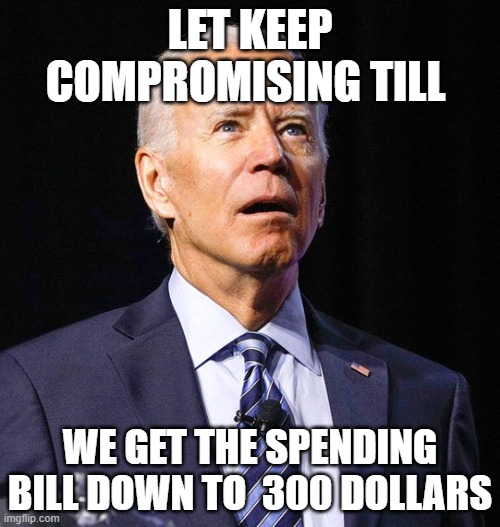 Joe Biden | LET KEEP COMPROMISING TILL; WE GET THE SPENDING BILL DOWN TO  300 DOLLARS | image tagged in joe biden | made w/ Imgflip meme maker