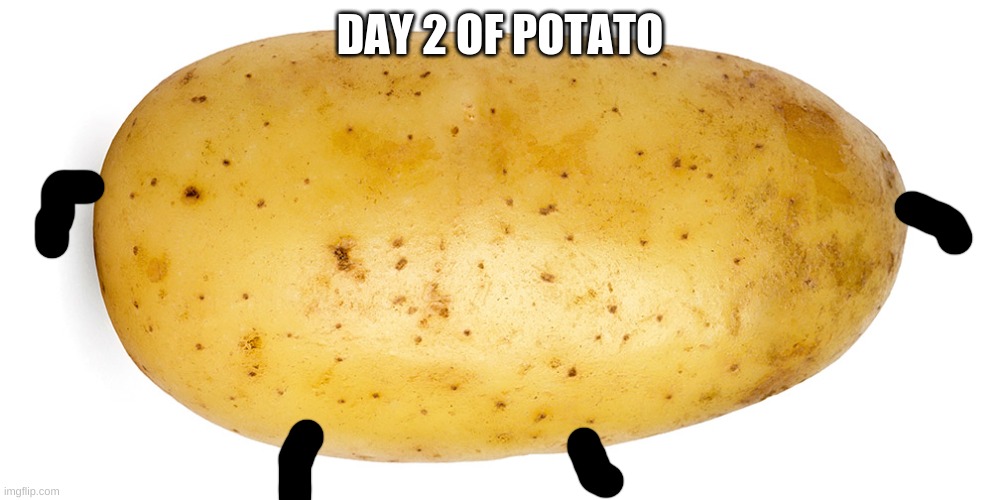 2 | DAY 2 OF POTATO | image tagged in potato | made w/ Imgflip meme maker